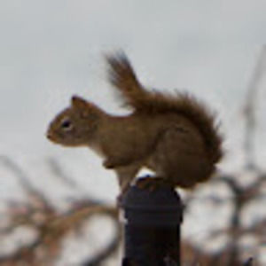 Meet your Posher, Carolyn